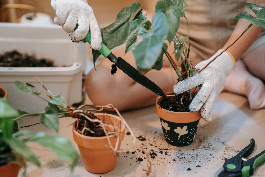 Orto su un piccolo balcone: come fare e cosa piantare